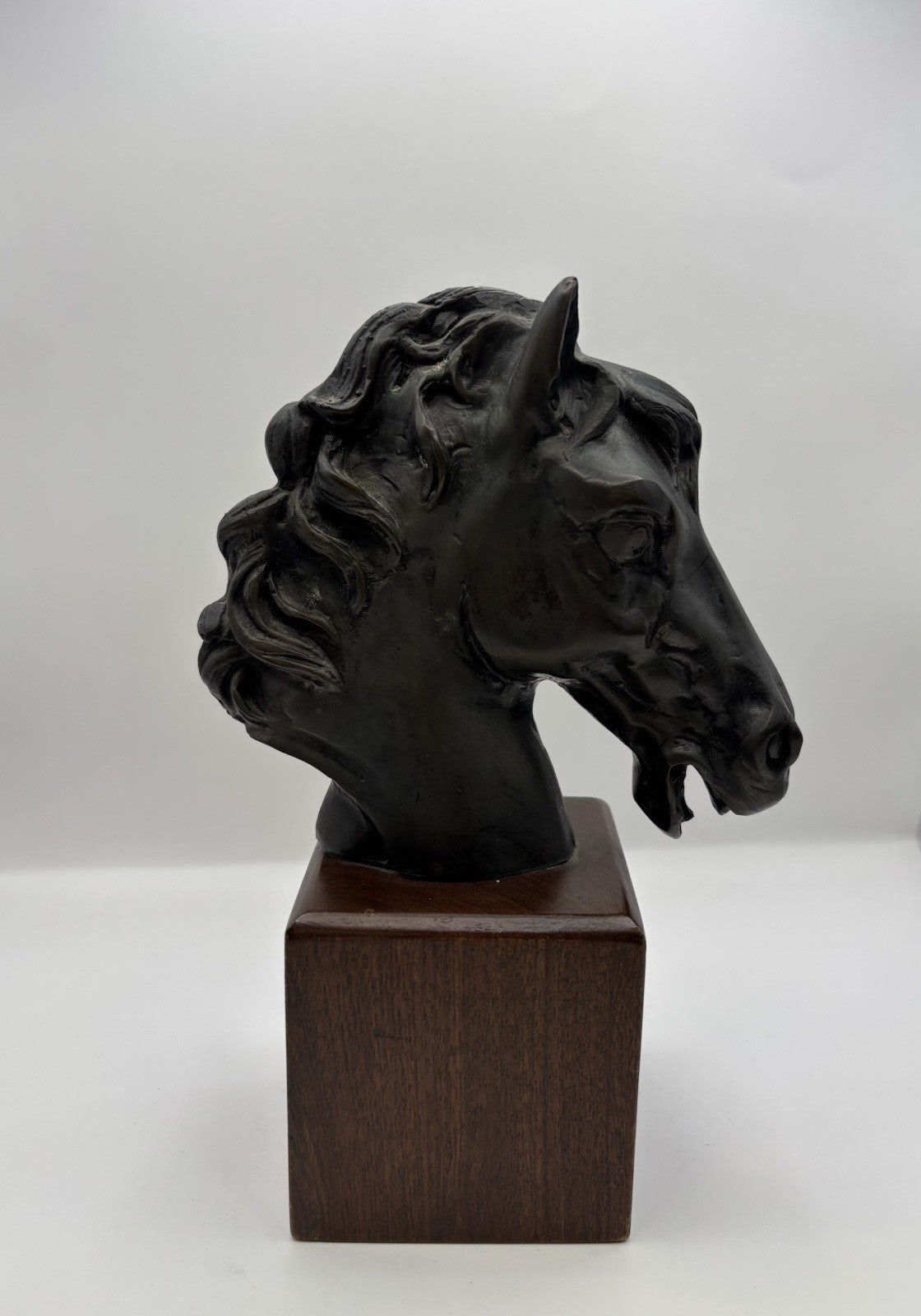Black Horse Head Decorative Bookends Bronze W Wood Base Home Decor Gift Idea 8.3