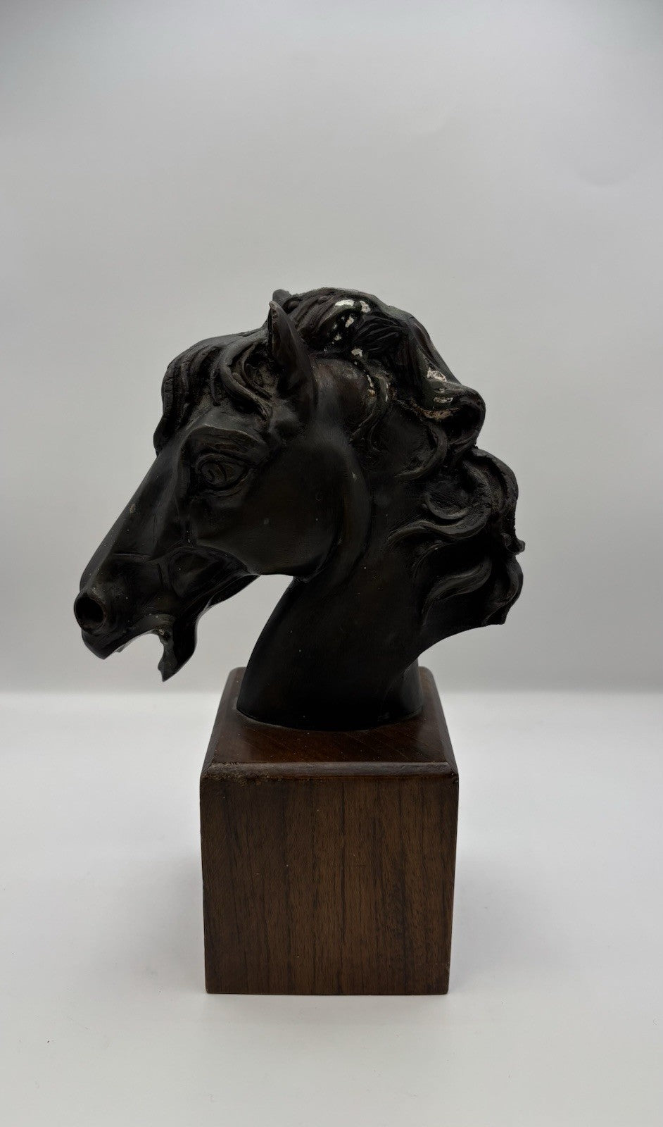 Black Horse Head Decorative Bookends Bronze W Wood Base Home Decor Gift Idea 8.3