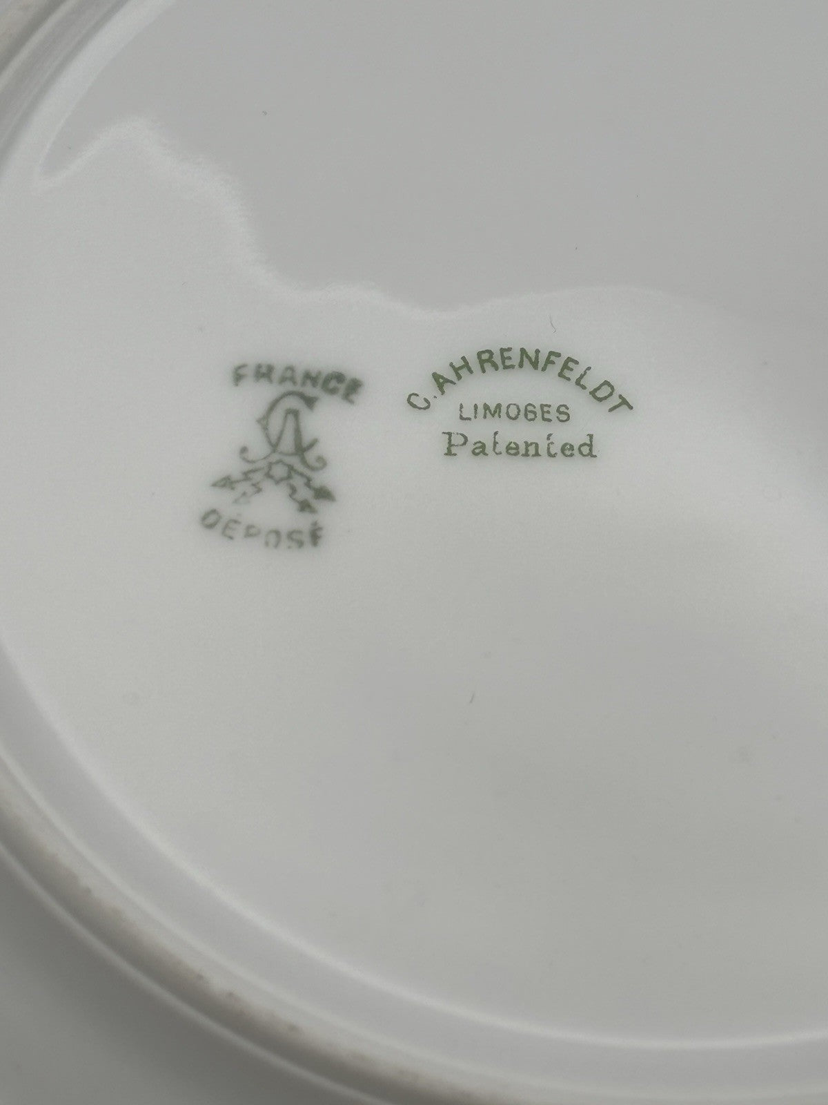 Set of 6 T&V Limoges Plate with A Floral Design France Antique Vintage Plates