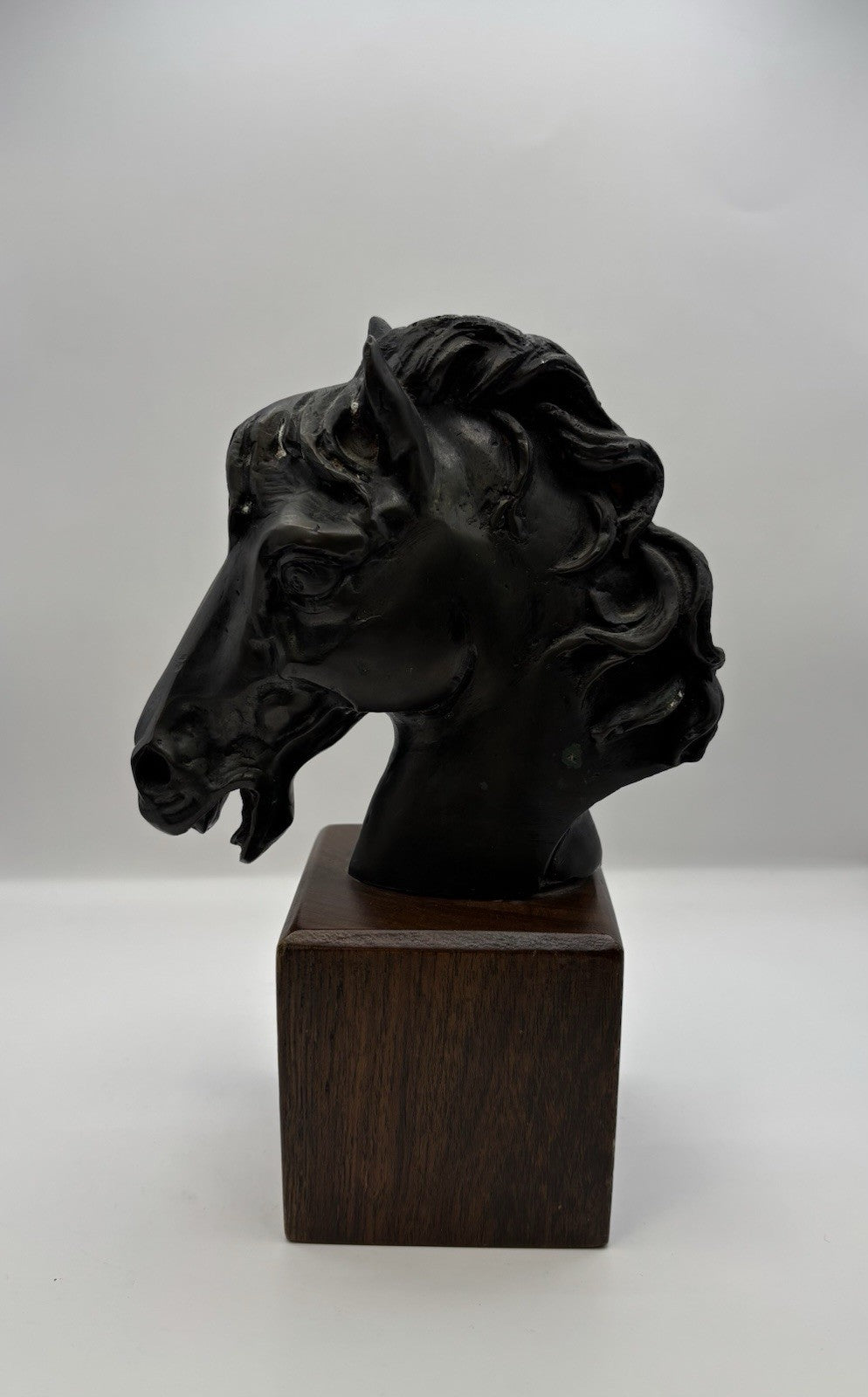 Black Horse Head Decorative Bookends Bronze W Wood Base Home Decor Gift Idea 8.3