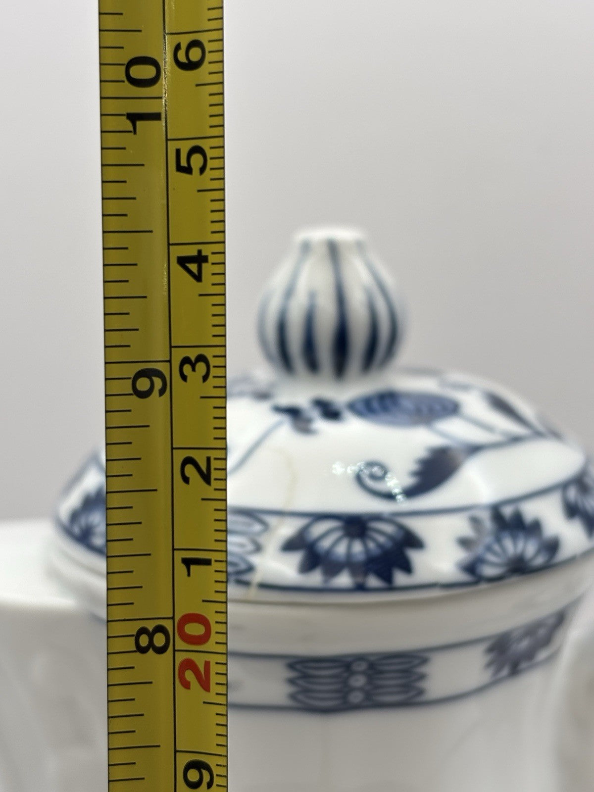 Vienna Woods Fine China In The Iconic Blue Onion Pattern Tea Cup and Saucer Set