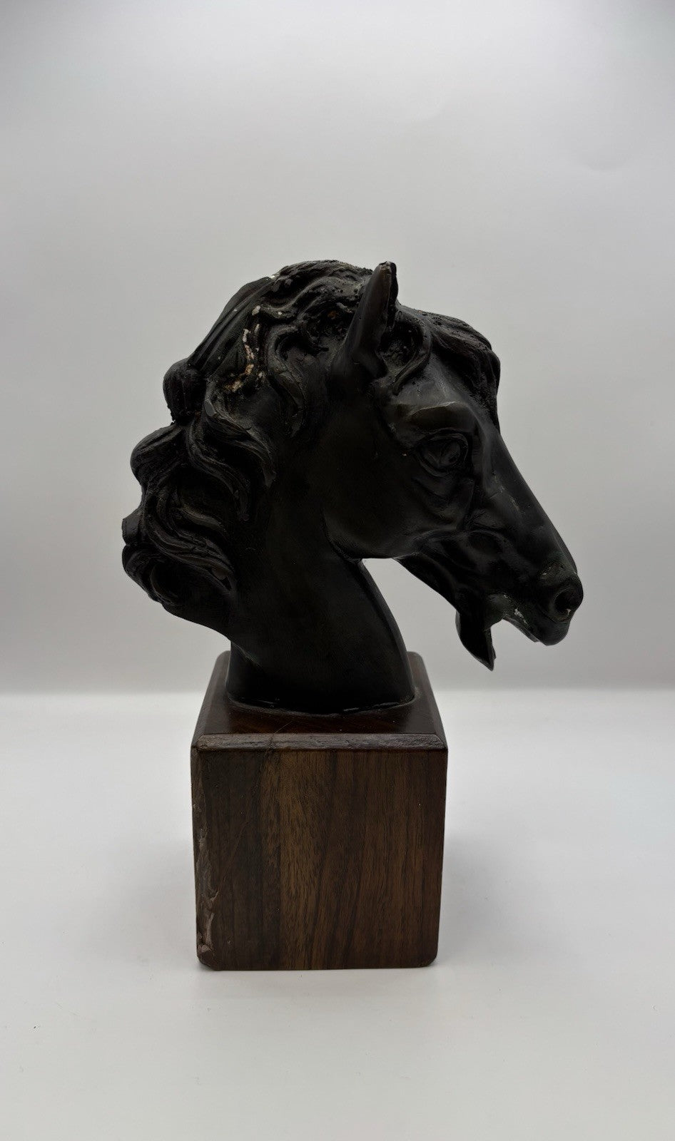Black Horse Head Decorative Bookends Bronze W Wood Base Home Decor Gift Idea 8.3