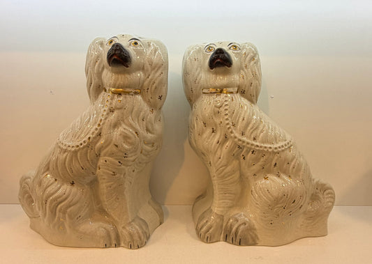 Large White Staffordshire Dogs