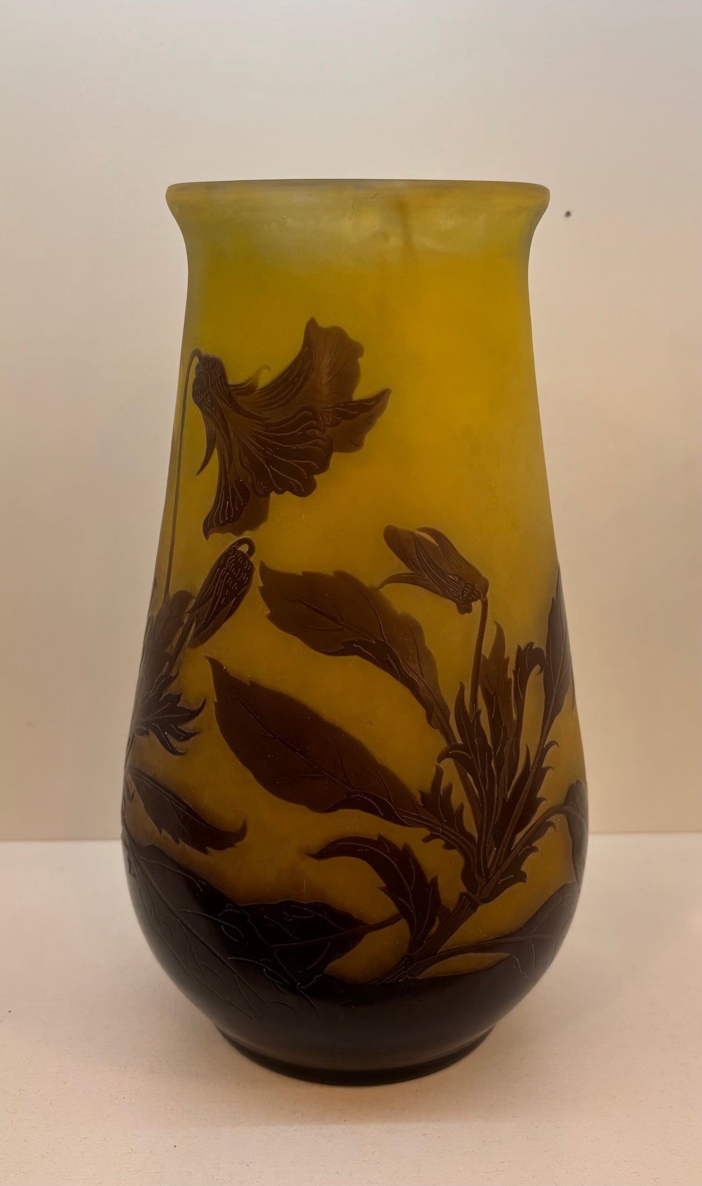 Emile galle cameo Art Glass Vase